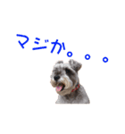 ワンダフルライフ2(ゆかいな仲間たち)（個別スタンプ：12）