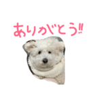 だいすきくららちゃん（個別スタンプ：2）