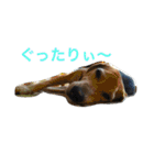 俺の愛犬“ジャック”   No.1（個別スタンプ：4）