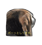 俺の愛犬“ジャック”   No.1（個別スタンプ：29）