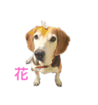 俺の愛犬“ジャック”   No.1（個別スタンプ：32）