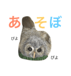 モリフクロウのもりぃ★日常会話（個別スタンプ：8）