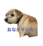 トックスタンプ2（個別スタンプ：5）