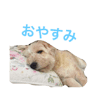 トックスタンプ2（個別スタンプ：10）