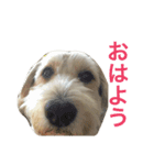 トックスタンプ2（個別スタンプ：11）