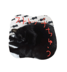 べっぴんねこメル（個別スタンプ：15）
