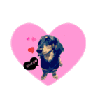 ミニチュアダックスフンドのぺっちゃん 犬（個別スタンプ：2）