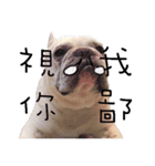 French Bulldog Pipi（個別スタンプ：4）