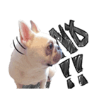 French Bulldog Pipi（個別スタンプ：18）