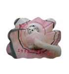 たまごねこねこ（個別スタンプ：12）