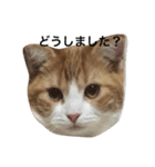 バニラくんと一緒（個別スタンプ：1）