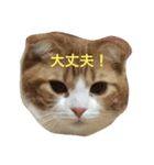 バニラくんと一緒（個別スタンプ：3）