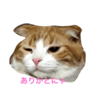 バニラくんと一緒（個別スタンプ：7）