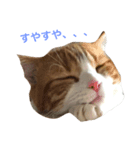 バニラくんと一緒（個別スタンプ：8）