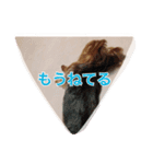 ヨークシャーテリア りんちゃん（個別スタンプ：6）