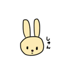 黄色いうさこ（個別スタンプ：5）