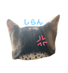 メイのスタンプ（個別スタンプ：1）
