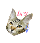 メイのスタンプ（個別スタンプ：2）