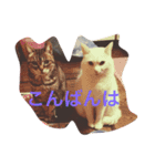 ララ様2（個別スタンプ：3）