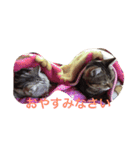 ララ様2（個別スタンプ：16）