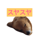 こぎこぎこーぎー（個別スタンプ：3）