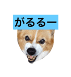 こぎこぎこーぎー（個別スタンプ：4）