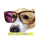 こぎこぎこーぎー（個別スタンプ：5）