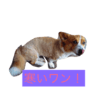 こぎこぎこーぎー（個別スタンプ：6）