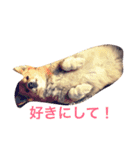 こぎこぎこーぎー（個別スタンプ：7）