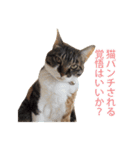 ジュリアの猫4匹（個別スタンプ：30）