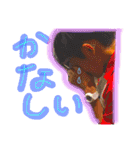 愛と愉快な仲間たち パート2（個別スタンプ：10）