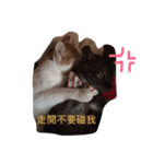 egg＆m（個別スタンプ：5）
