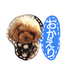 My dogs.2（個別スタンプ：6）