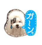 My dogs.2（個別スタンプ：13）