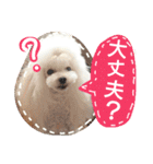 My dogs.2（個別スタンプ：21）