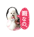 My dogs.2（個別スタンプ：36）