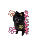 おばあちゃん大好きなチロルくん（個別スタンプ：1）