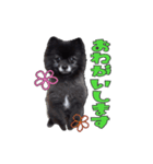 おばあちゃん大好きなチロルくん（個別スタンプ：13）