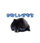 おばあちゃん大好きなチロルくん（個別スタンプ：15）
