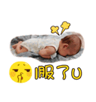 Curry Baby - Part 1（個別スタンプ：37）
