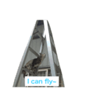 I am Liu Liu Cat（個別スタンプ：8）