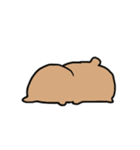 クマとパンダときどきカメ（個別スタンプ：35）