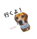 beagle daily 2（個別スタンプ：7）