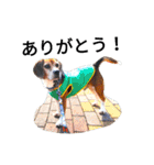 beagle daily 2（個別スタンプ：33）