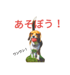 beagle daily 2（個別スタンプ：38）
