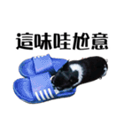 パイナップル犬（個別スタンプ：10）