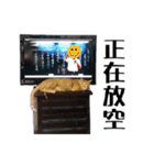パイナップル犬（個別スタンプ：15）