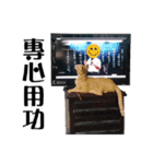 パイナップル犬（個別スタンプ：16）