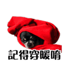 パイナップル犬（個別スタンプ：22）