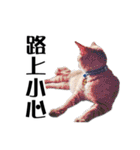 パイナップル犬（個別スタンプ：23）
